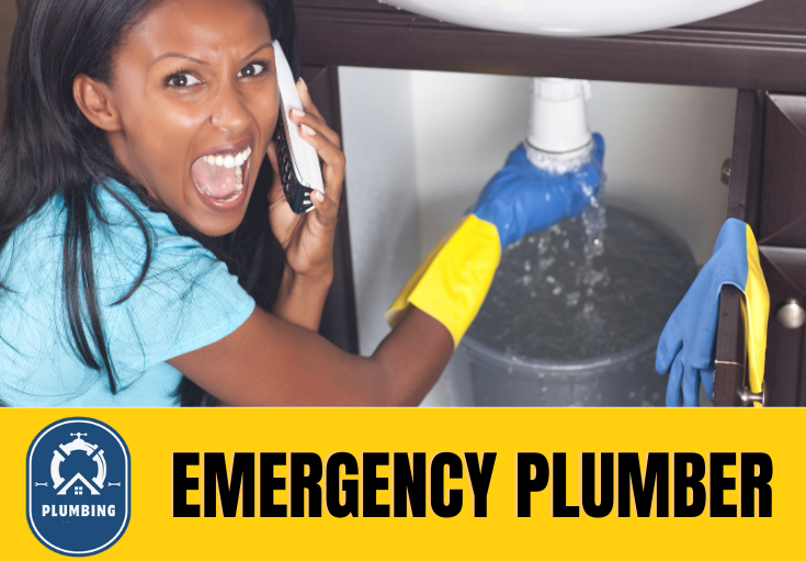 emergency plumber Snodland
